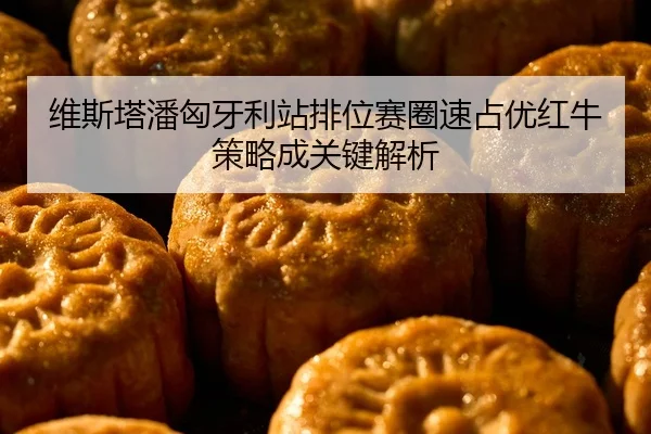 维斯塔潘匈牙利站排位赛圈速占优红牛策略成关键解析